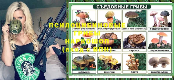 амф Алексеевка