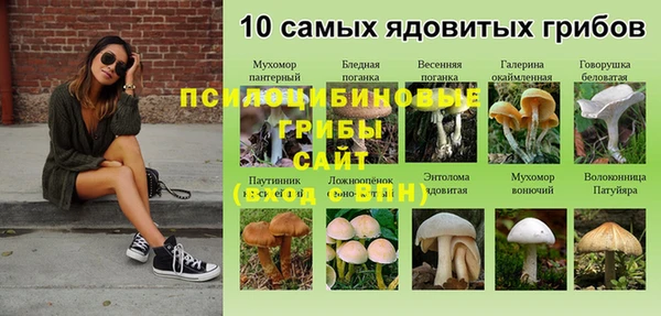амф Алексеевка