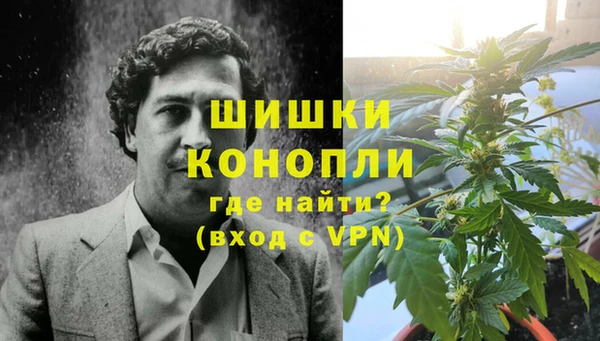винт Алзамай