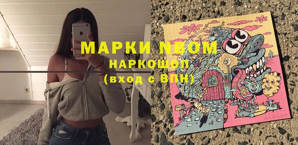 прущие грибы Алексин