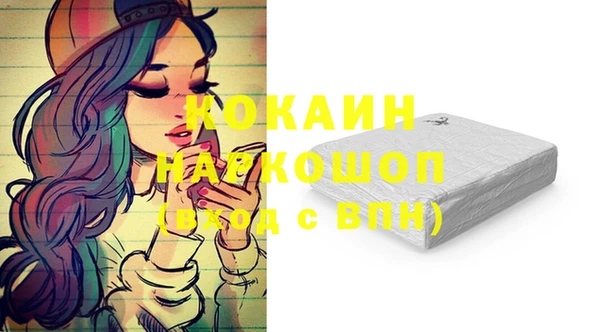 винт Алзамай