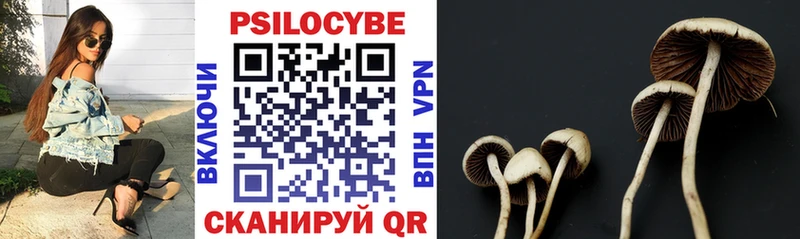 Псилоцибиновые грибы Psilocybe  купить закладку  Котельники 