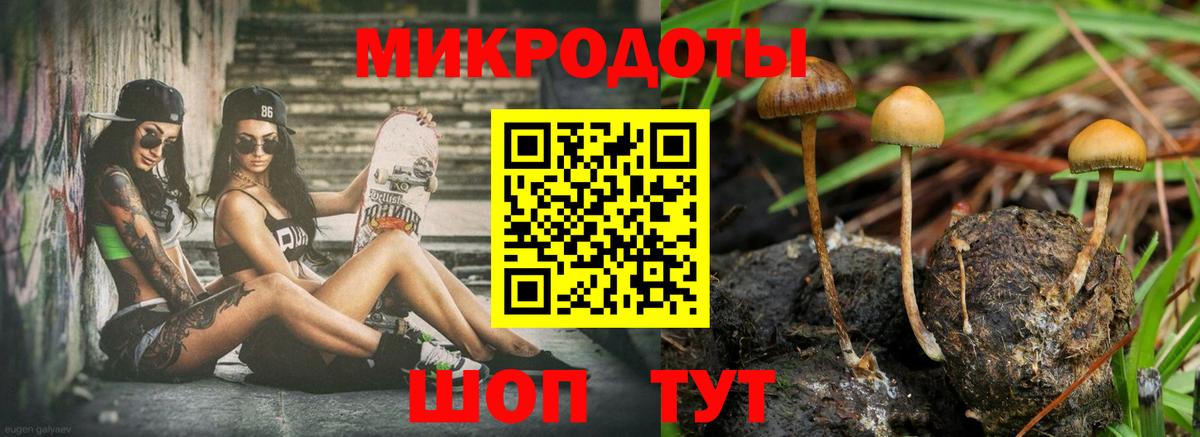 Псилоцибиновые грибы MAGIC MUSHROOMS  Вход с VPN  Котельники 